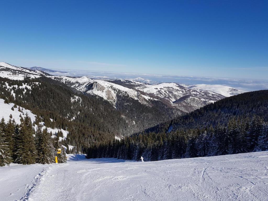As Lux Apartmani Kopaonik Kültér fotó